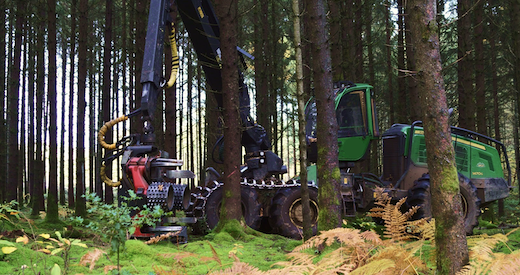 Travaux forestiers mécanisés