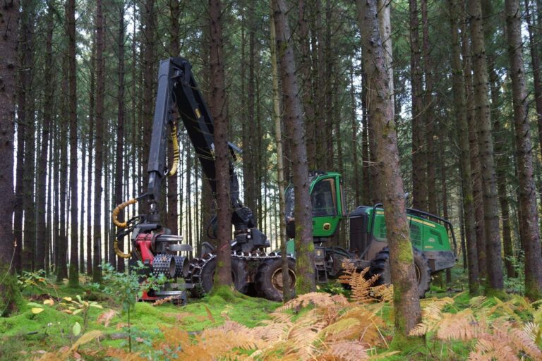 Bucheron mécanisé