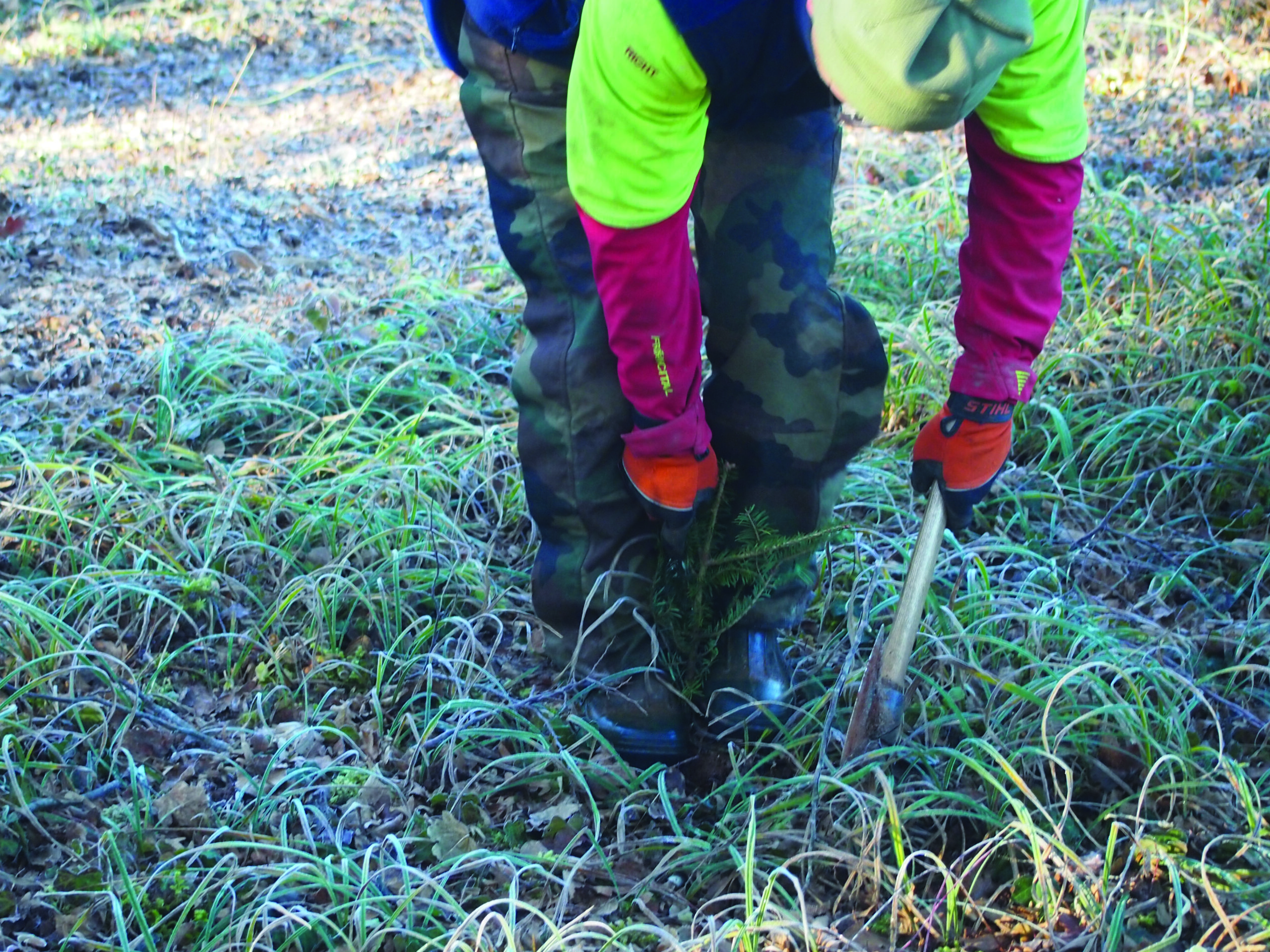 Opérateur sylvicole manuel et mécanisé